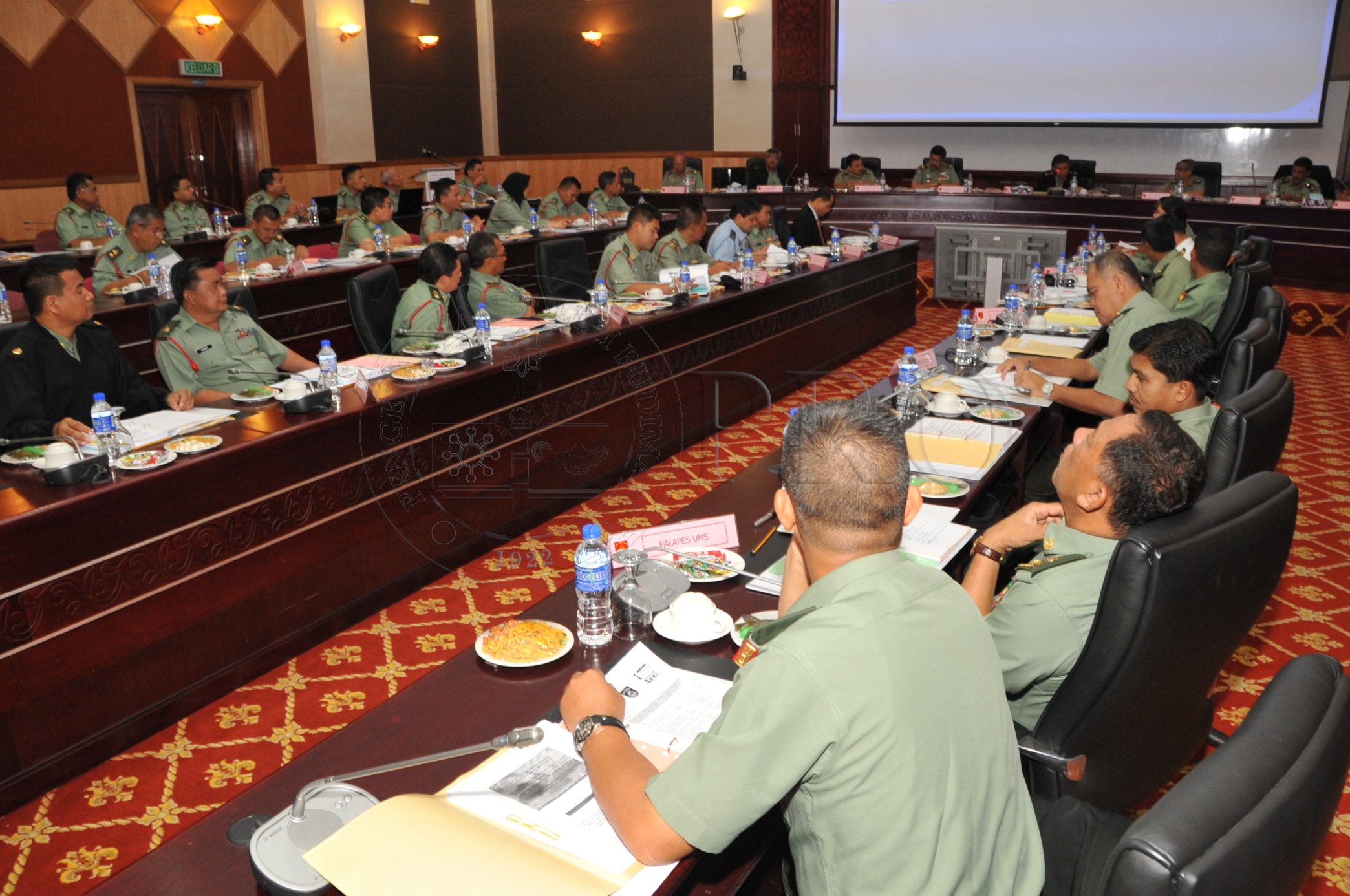 PRO 14 02 PALAPES PRO 2841